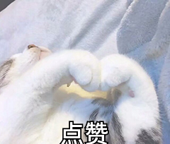 电脑录屏快捷键ctrl加什么