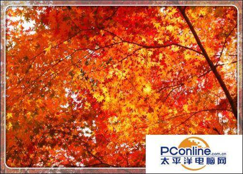 win10摄像头在哪里打开摄像头功能