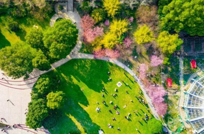 武汉大学专业有哪些专业