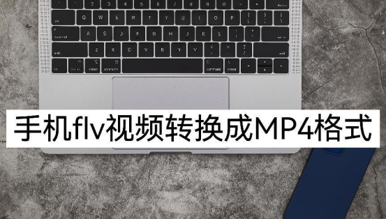 flv转换mp4工具手机版