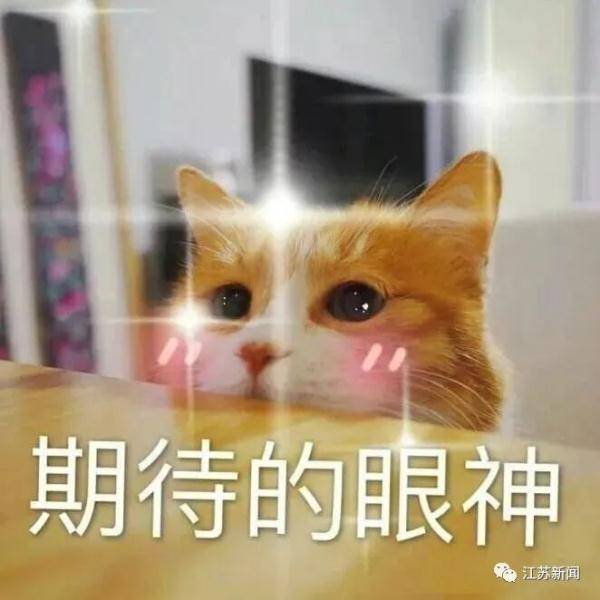 考试院官网录取查询入口