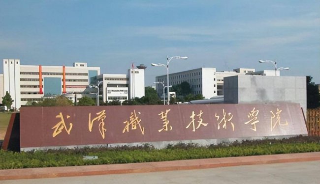 湖北大专学校排名及分数线