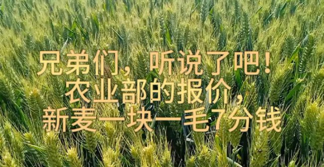 最新云顶之弈装备合成图
