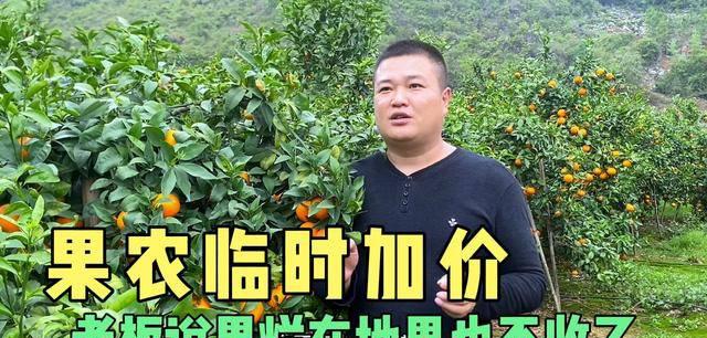 最新云顶之弈装备合成图