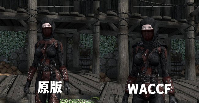 上古卷轴5mod安装教程