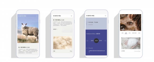 在线做网站的公司有哪些