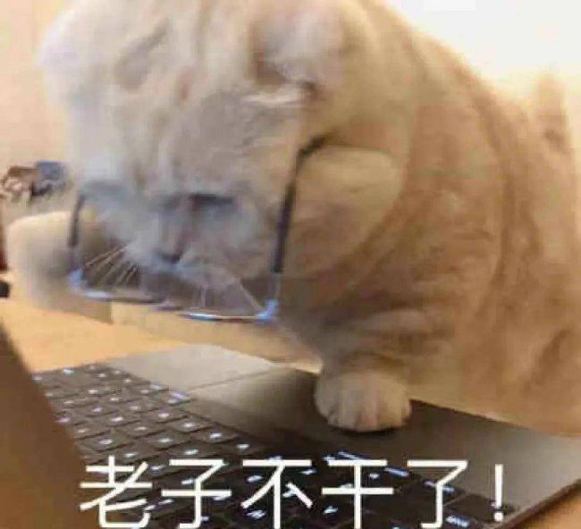 怎么样做电商0基础