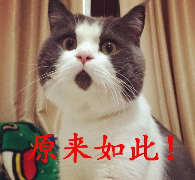 手机文件管理app哪个好