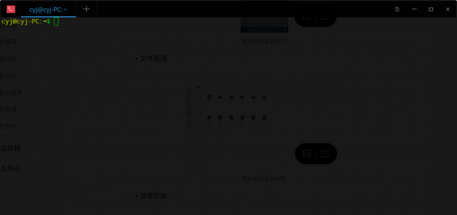 deepin双系统安装教程