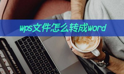 电脑docx怎么转换成word文档 把表格变成word文档教程