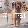 word基本使用技巧大全图解