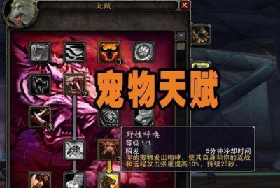 魔兽世界怀旧服猎人稀有宝宝 魔兽怀旧服猎人宝宝一览表