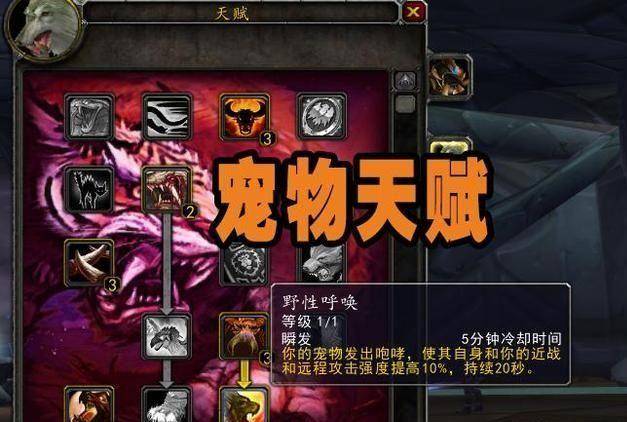 魔兽世界怀旧服猎人稀有宝宝