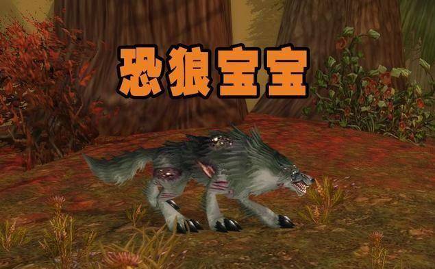 魔兽世界怀旧服猎人稀有宝宝