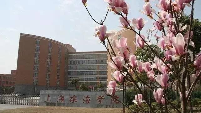 上海市十大最好技校