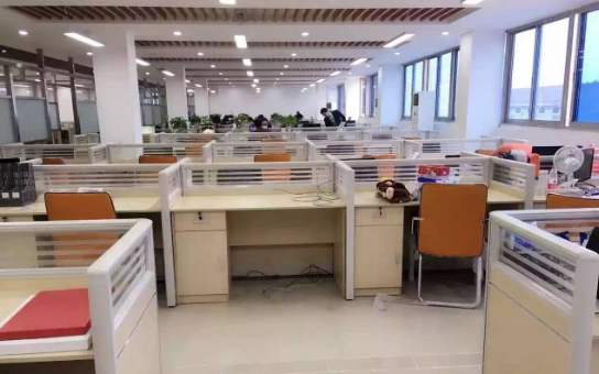 网络科技公司是干什么的