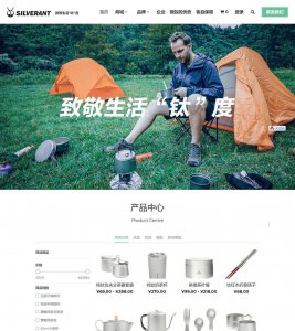 网站界面设计分析 网站设计与规划分享