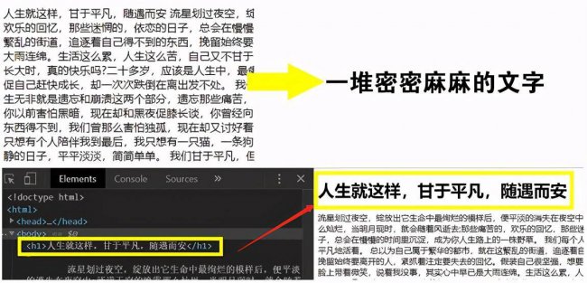 html标签属性大全