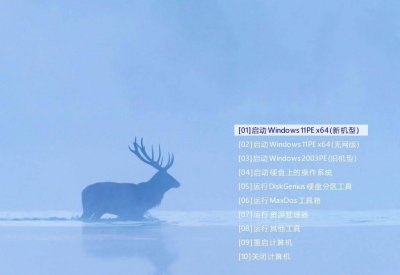 pe一键装机工具 纯净pe工具排行榜