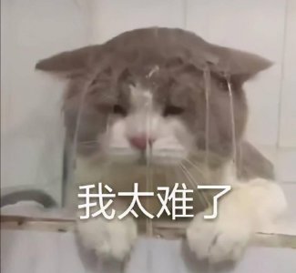 笔记本加个8g内存条作用大吗 笔记本内存条的选择