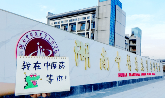 湖南有哪些专科学校