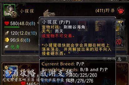 魔兽世界服务器查询页面
