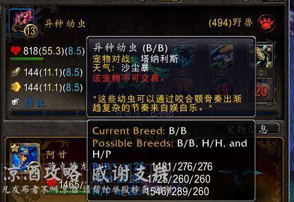 魔兽世界服务器查询页面