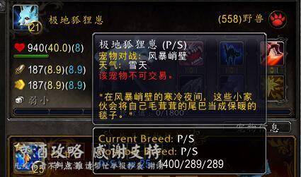 魔兽世界服务器查询页面