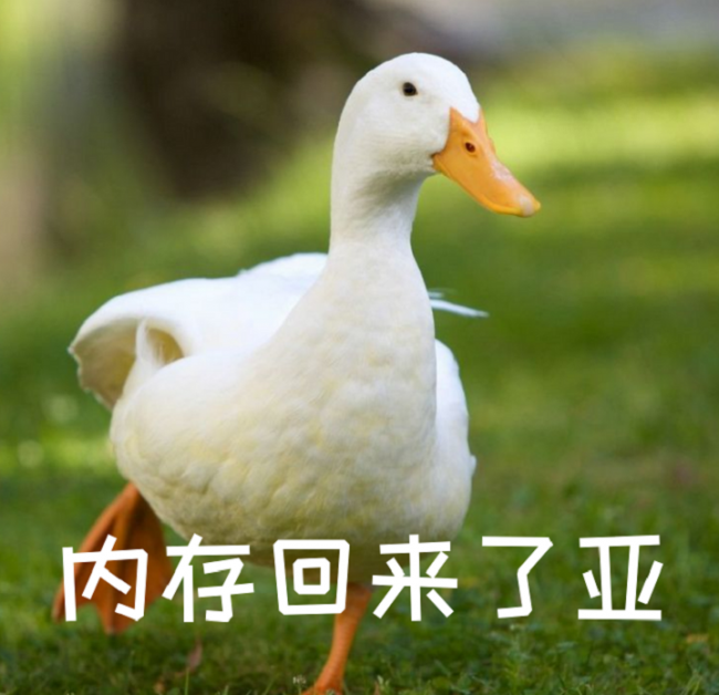 手机软件安装在哪个文件夹