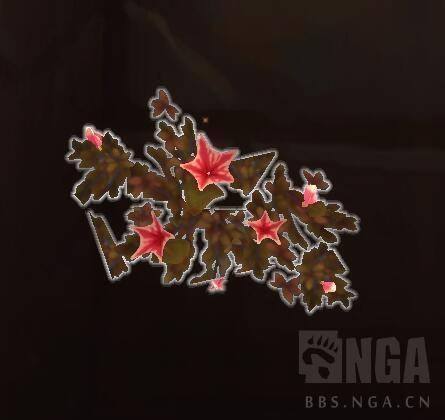 魔兽世界草药学训练师怎么做