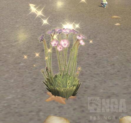 魔兽世界草药学训练师怎么做