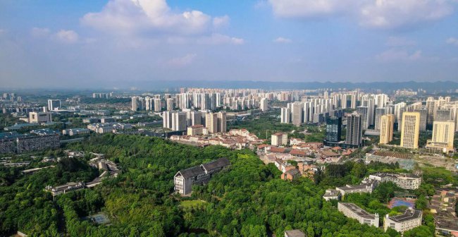 四川艺术学院分数线是多少