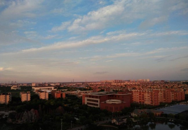 上海市职业学校排名榜