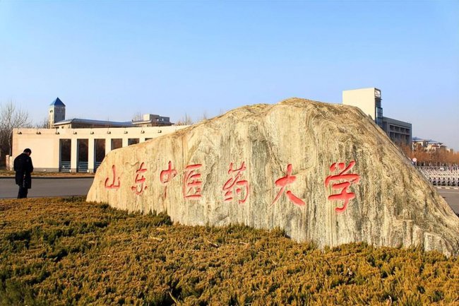 山东一本大学排名及分数线
