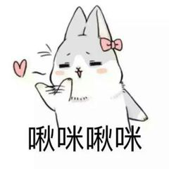 png图片怎么转换成jpg格式