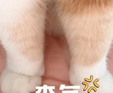 电脑速度慢怎么提升 笔记本反应太慢了解决方法