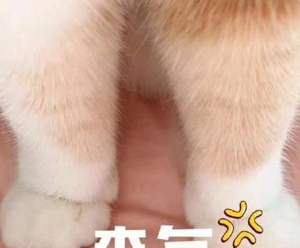 电脑速度慢怎么提升
