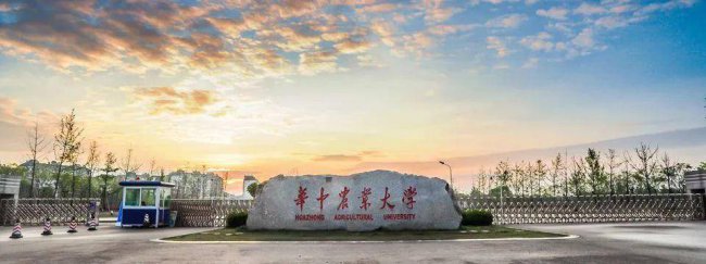 湖北本科大学排名一览表