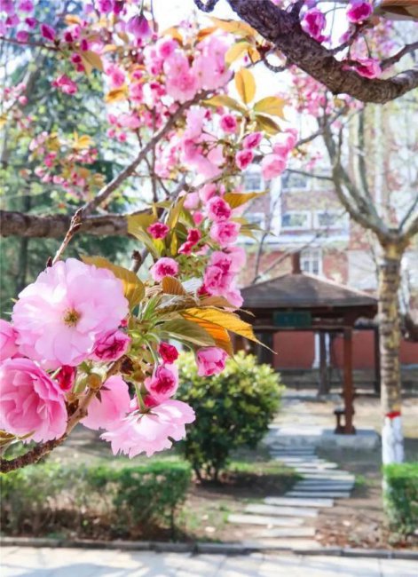 西安翻译学院是几本院校