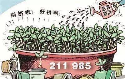 985和211的解释分析