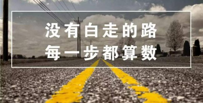 985和211的解释分析