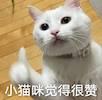 电脑上制作ppt的步骤有哪些