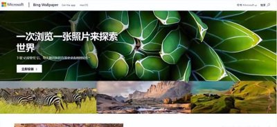 电脑免费主题软件哪个好 桌面美化软件排行榜
