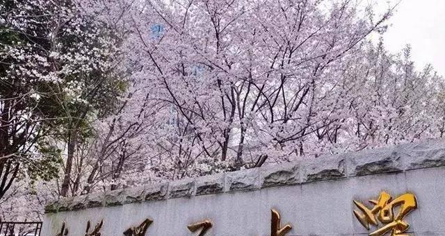 机械类专业排名大学有什么