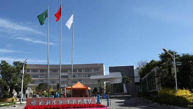 云南十大专科学校排名