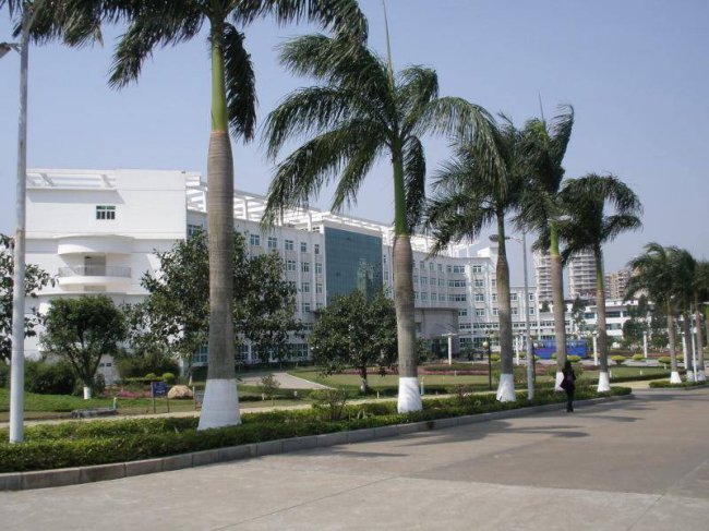 广东的一本大学名单