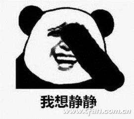 硬盘坏道检测要多久