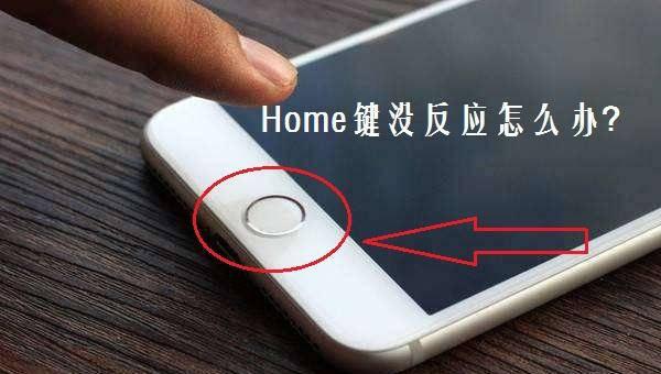 苹果手机wifi打不开怎么办解决