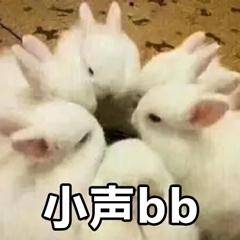 手机ceb文件怎么转换成pdf格式