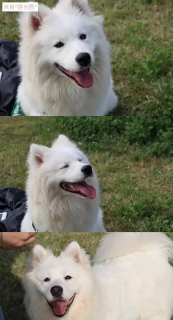 图片合成软件哪个好用点